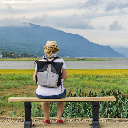 Promenade découverte 